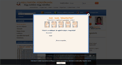 Desktop Screenshot of angelinafehernemu.hu